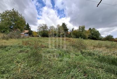 Teren intravilan cu Puz si priveliște deosebită, spre Cetatea Cisnădioara - 2