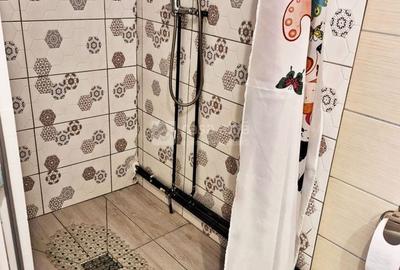 Bucium, apartament 1 camera cu terasa si garaj, la casa - 10