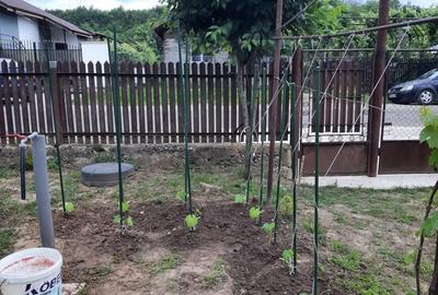 Teren de 1211 mp, în Sfârleanca - 3