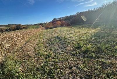 Teren agricol extravilan de 5600 mp, în Bogdand - 4
