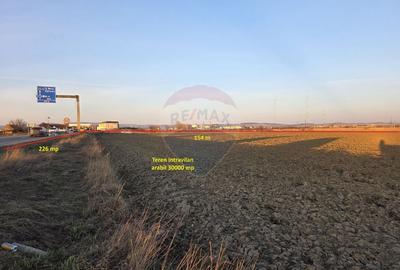Teren agricol intravilan de 30000 mp, în Nord - 8