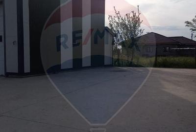 Spațiu industrial, de 160 mp, în Mirceștii Noi - 3