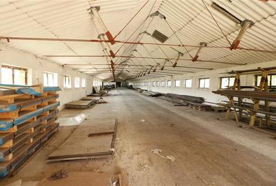 Spațiu comercial, de 729 mp, în Miroslava - 1