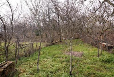 RECO Casa de vacanta la Holod- langa padure- teren 2190mp - 20
