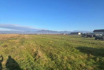 Teren de 1800 mp, în Mocira - 1