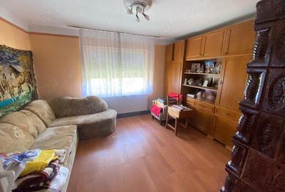 Casa 4 camere - NADAB ( 35 km de Arad ) - 10