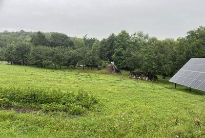 Casă cu 3 camere în Câlnic - 3