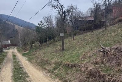 6000 MP teren intravilan, sat Bistrita, 9 Eur/MP - 1