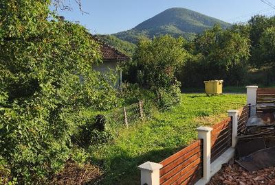 Casa la munte Baia de Cri? sat Caraci - 10