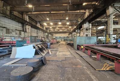 Inchiriere complex industrial versatil *hale - birouri - platforme betonate* - 1