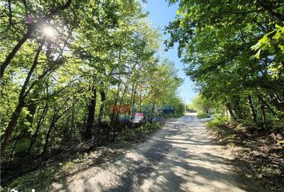 Teren de 708 mp, în Bârnova - 5