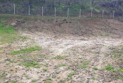 Teren de 1800 mp, în Dărăști-Vlașca - 7