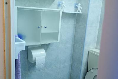 Inchiriere-gars-cf 2-semidecomandata-1/10-Dr Taberei-Plaza-mobilat/utilat-250E - 8