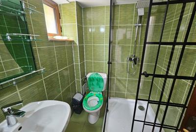Vila Exclusivista Vetel  pe valea Caoiului - 21