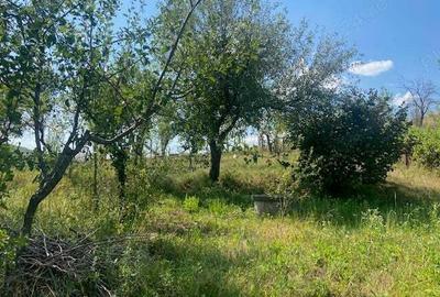 Casă cu 5 camere în Carcadiești - 6