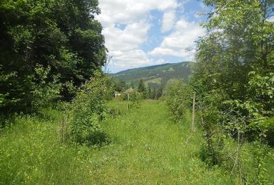 Teren de 10000 mp, în Central - 12