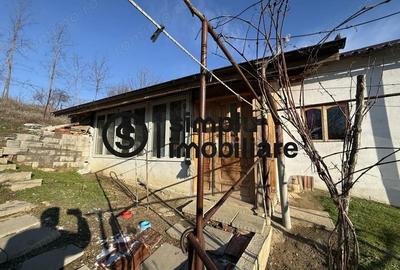 Casa parter Bucovat - 11