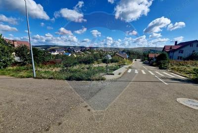 Teren de 1000 mp, în Central - 12