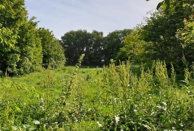 Casă cu 3 camere în Frumușani - 1