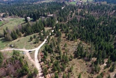 Teren intravilan 3,584mp Calatele Padure - 5