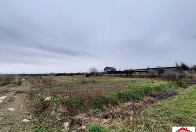 Teren intravilan 12216 mp in Vetis construibil - 3