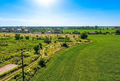 Teren în Bragadiru - 14