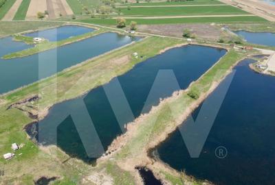 Teren Extravilan cu lac - Investitie in Natura si Agrement | 35.251 mp - 6