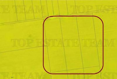 TEREN EXTRAVILAN,PADUREA COMOROVA,NEPTUN - 1