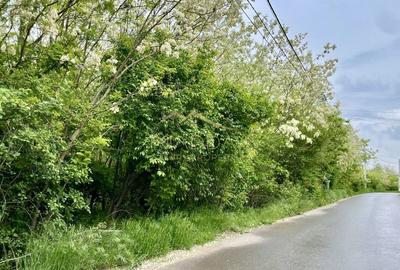 Vila  SMART_individuala _LUX***Padurile Regale//Corbeanca - 13