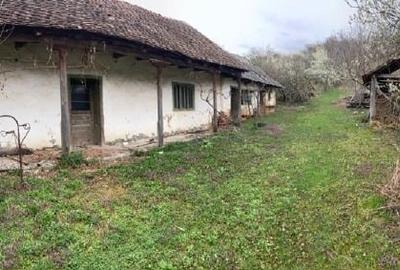 Casă individuală cu 3 camere cu Teren 2700 Mp în Dobra - 2