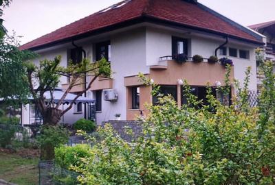 Casă cu 7 camere cu Piscina în Săftica - 14