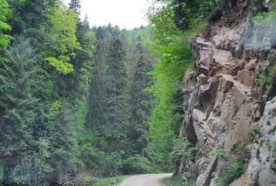 Teren de vanzare la munte pentru  cabana - 6