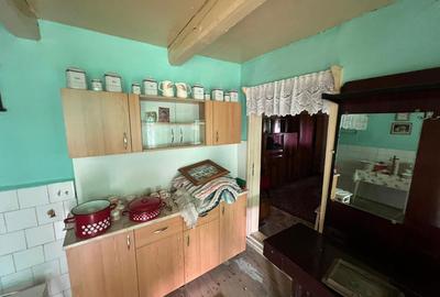 Casă cu 3 camere în Voivodeni - 7