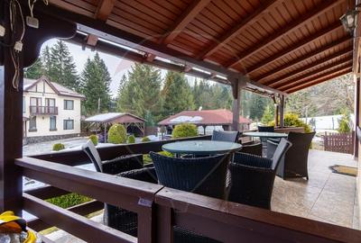 Hotel/Pensiune, de 404 mp, în Vlădeț - Trei Brazi - 42