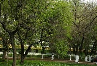 Apartament 2 camere FAVORIT- AFI COTROCENI-direct proprietar - 14