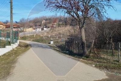 Teren agricol intravilan de 1736 mp, în Chițești - 2