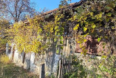 Casă cu 3 camere în Plai - 1