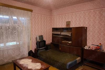 Casă cu 4 camere cu Teren 2539 Mp în Cenad - 2