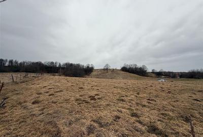 RECO , teren intravilan la 2,5 euro in Tomnatic, Vadu Crisului - 3