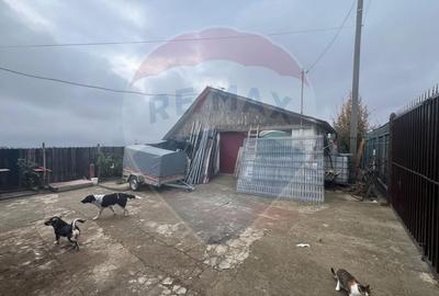 Casa 2 camere Carligele - 7