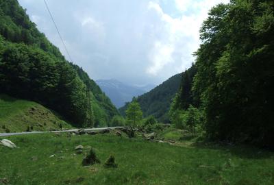 Teren în Central - 3