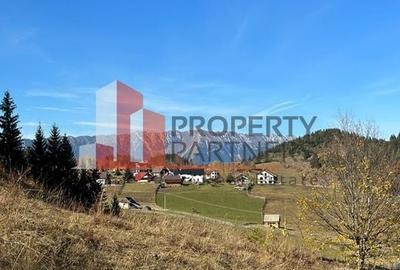 Teren Fundatica intravilan 4500 mp - 18