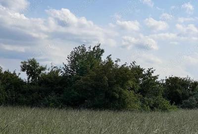 Teren de 20 mp, în Săsar - 2