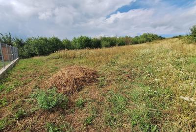 Oportunitate! Teren intravilan de vanzare, 2000 mp., Tureni - 3