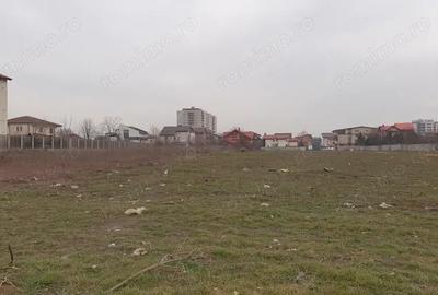 Teren de 2500 mp, în Valea Oltului - 2