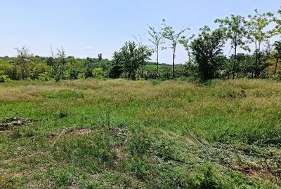 De vanzare teren in zona linistita! - 1