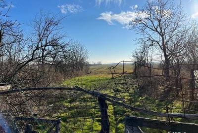 Casă cu 3 camere cu Teren 2000 Mp în Nuci - 3