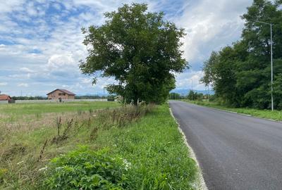 Teren intravilan la stradă, toate utilitățile, Băcia, Hunedoara - 8
