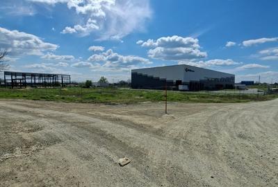 Teren Construcții intravilan de 5000 mp, în - 3