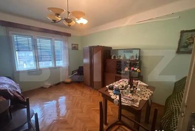 Casă cu 4 camere cu Teren 6197 Mp în Viile Satu Mare - 2
